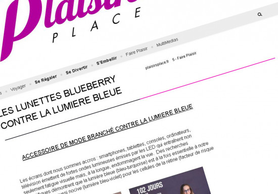 Blueberry Glasses blog plaisirs place