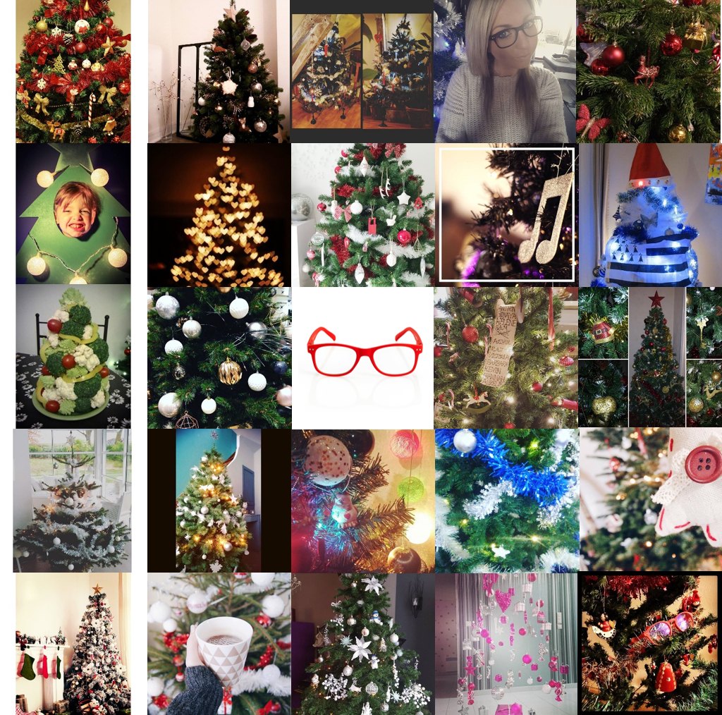 Concours Blueberry Xmas