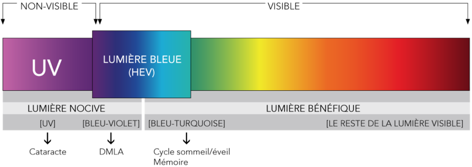 Quels sont les dangers de la lumière bleue des écrans?