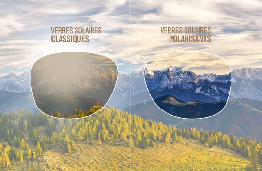 verres-polarisants